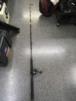 Penn Fishing Rod/Reel
