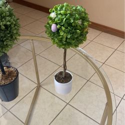 Decoración $10.00  Cada Una  