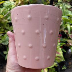 Ceramic Houseplants $1 Sale