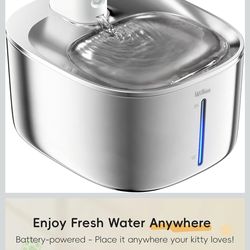 Cat Water Fountain Stainless Steel, 138fl.oz / 4.1L Cat Fountain, Pet Water Dispenser Cordless for Cats & Dogs Indoor
Amazon's Choice
