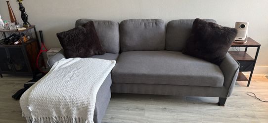 Pull out sleeper couch