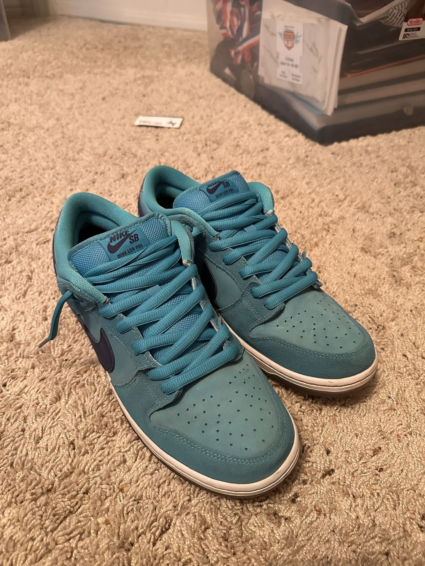 Worn Sb Shoes Nike Sb Blue Furry Size 12 Worn Once