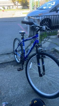 Blue Mountain Bike