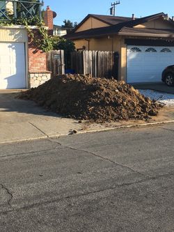 Free Clean Dirt free Delivery