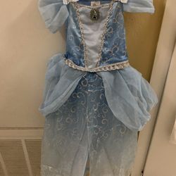 Cinderella Costume 