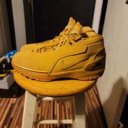 Nike Lebron ZOOM 1 Wheat Good Cond. Sz 10.5 $140