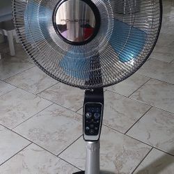 Flor Fan