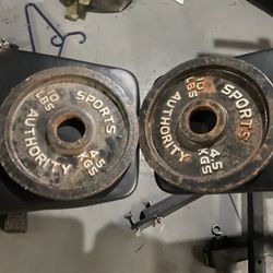 Sports Authority Authentic 2 - 10 Lb Plates 