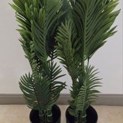 PAIR of 50in Faux Golden Cane Palms in 11in (Tall) Green Planters (2 for $90) @ Lasting Creations
