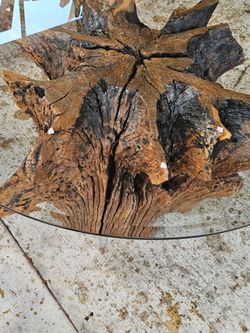 TREE ROOT TABLE AND MORE