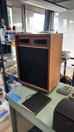 Vintage Large Speaker