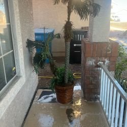  Fake Palm Tree 