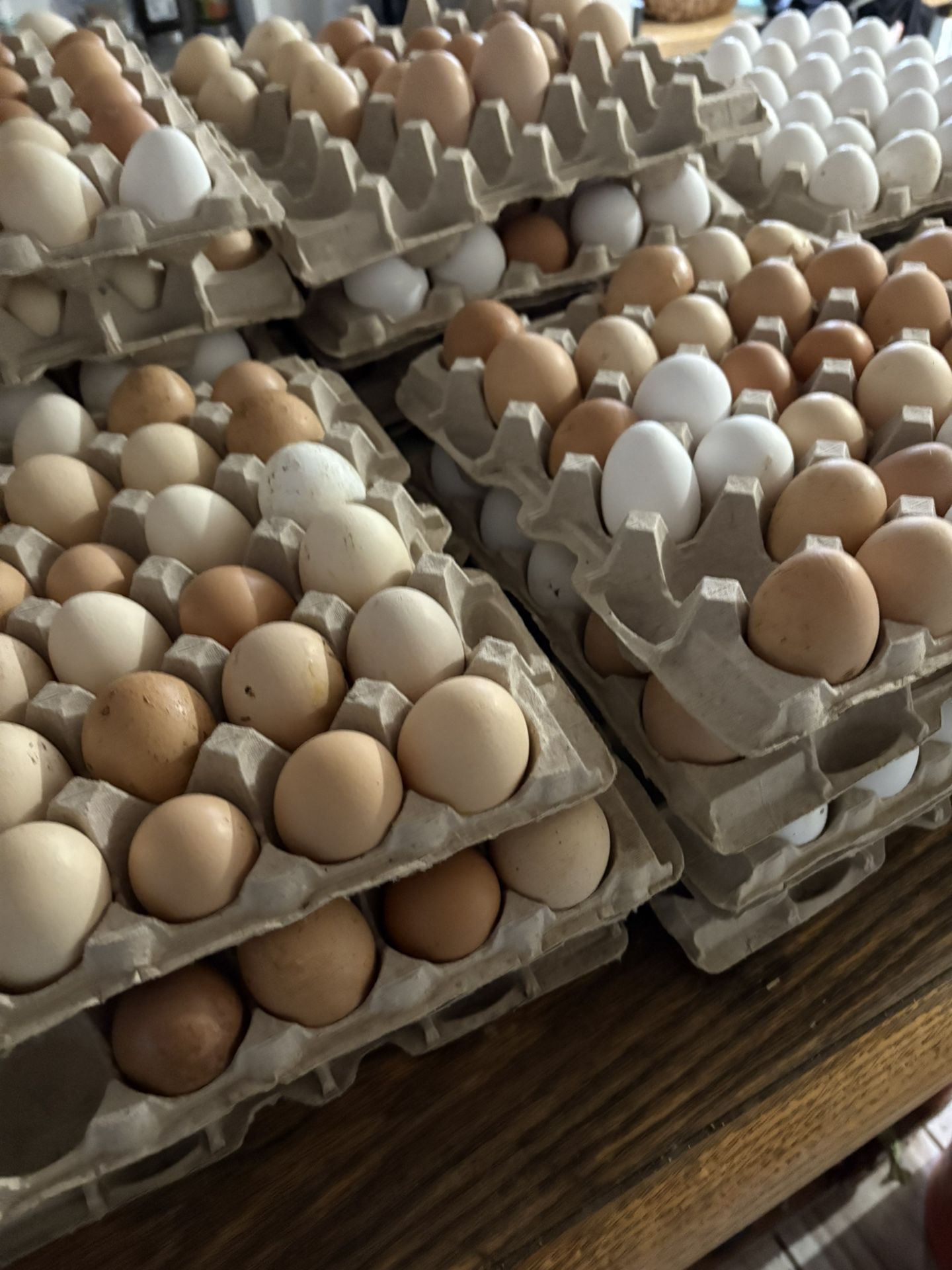 Collected Daily Fresh Eggs
