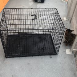 Double Door Metal Wire Dog Crate with Divider, Multiple, Black (Medium )