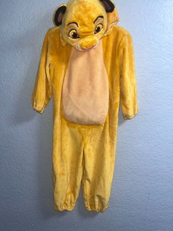 The Lion Kind Simba Costume