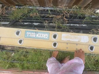Green Bull Fiberglass Extension Ladder