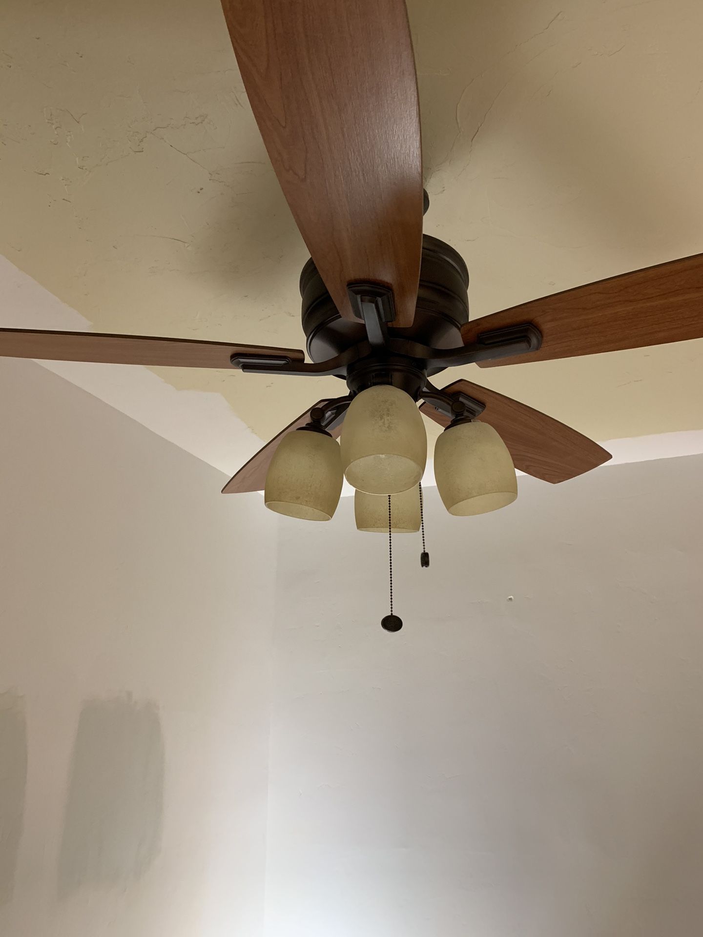 Ceiling fan