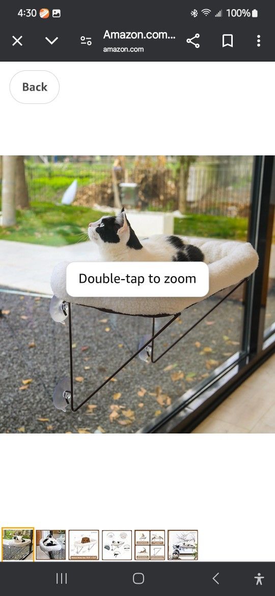 Cat Window Bed