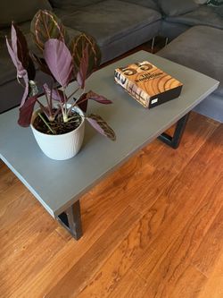 Modern Gray Stained Coffee Table