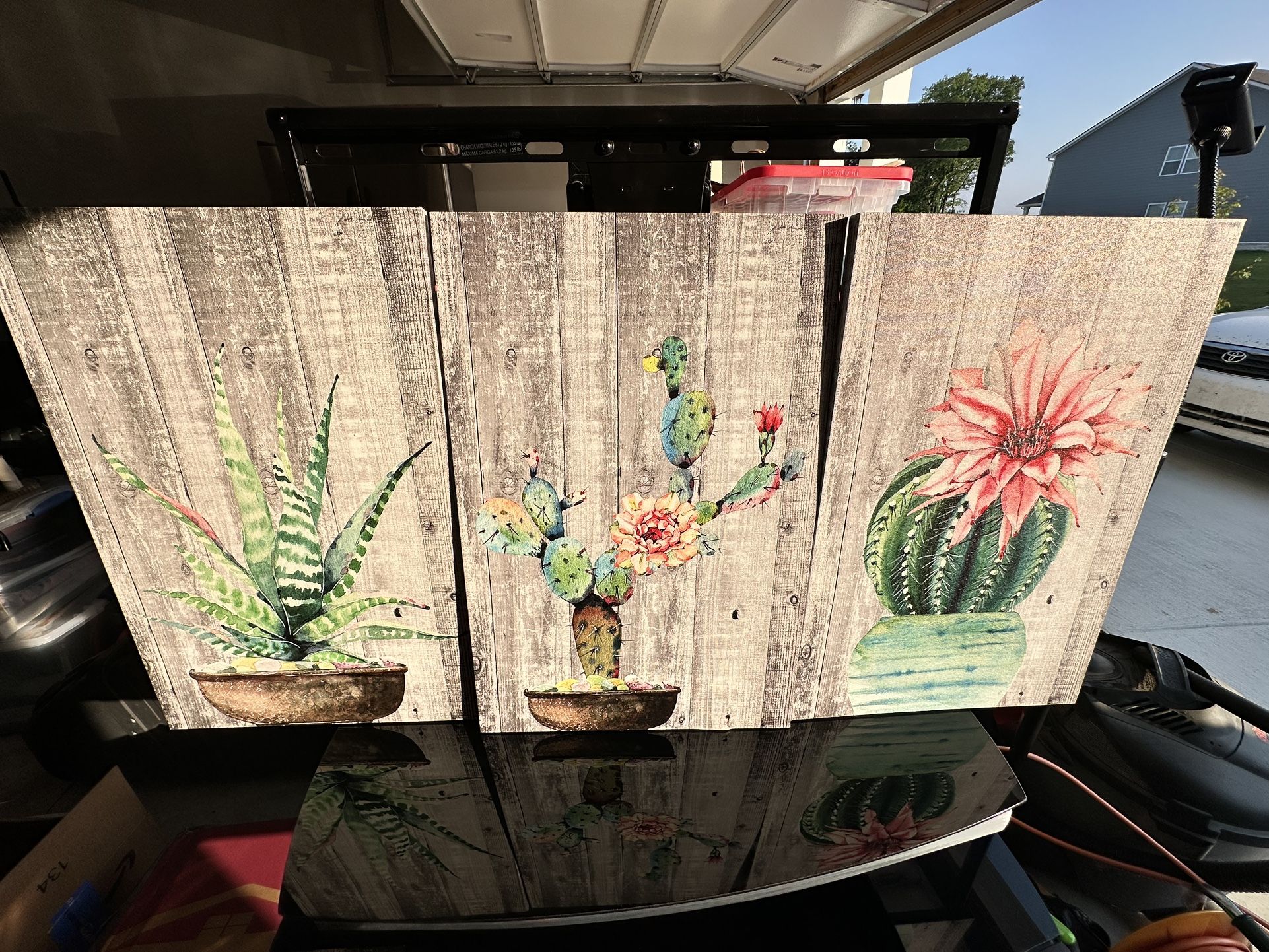 Succulent Paintings 