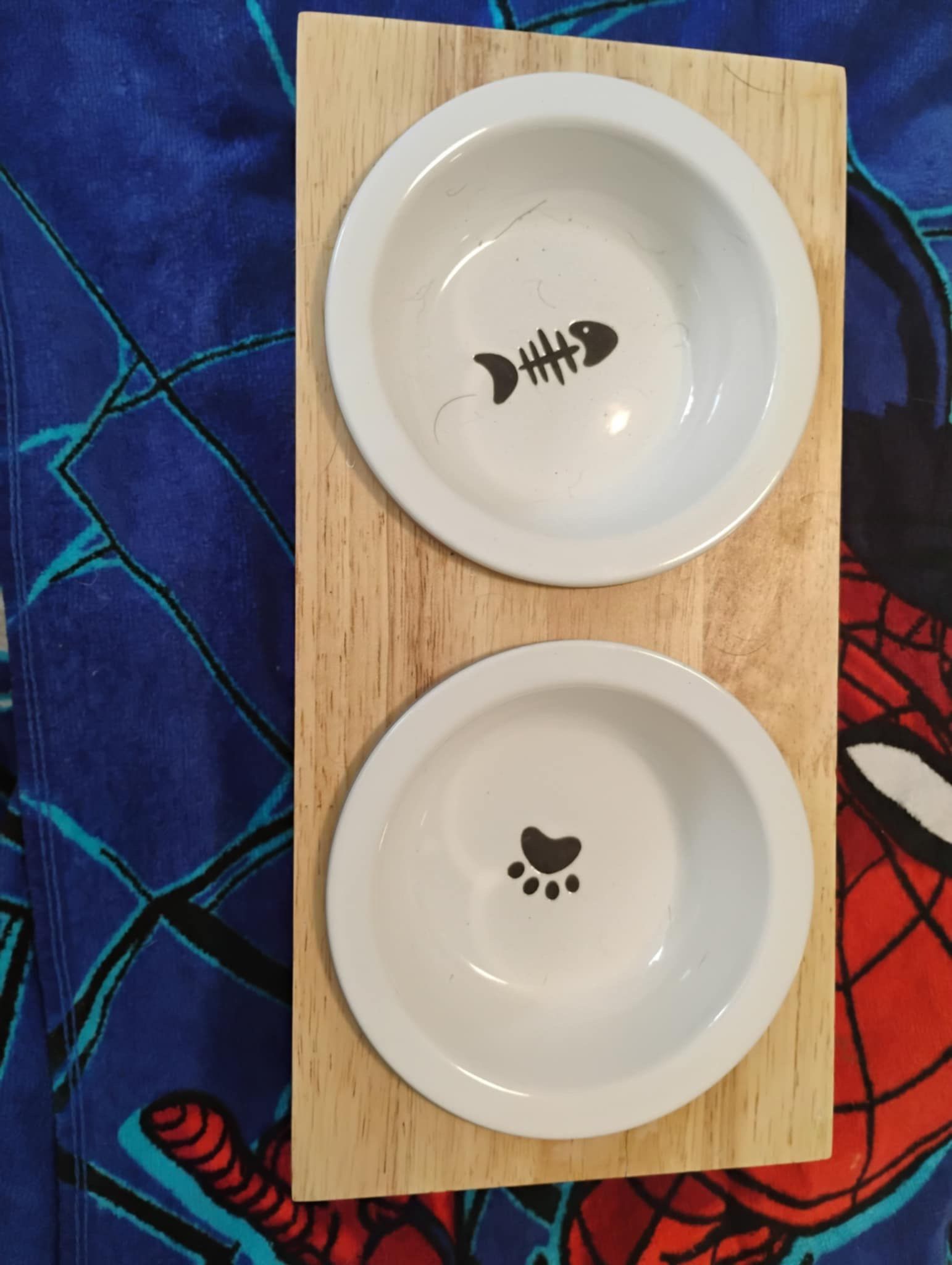 Double Pet Elevated Bowls With Wooden Stand