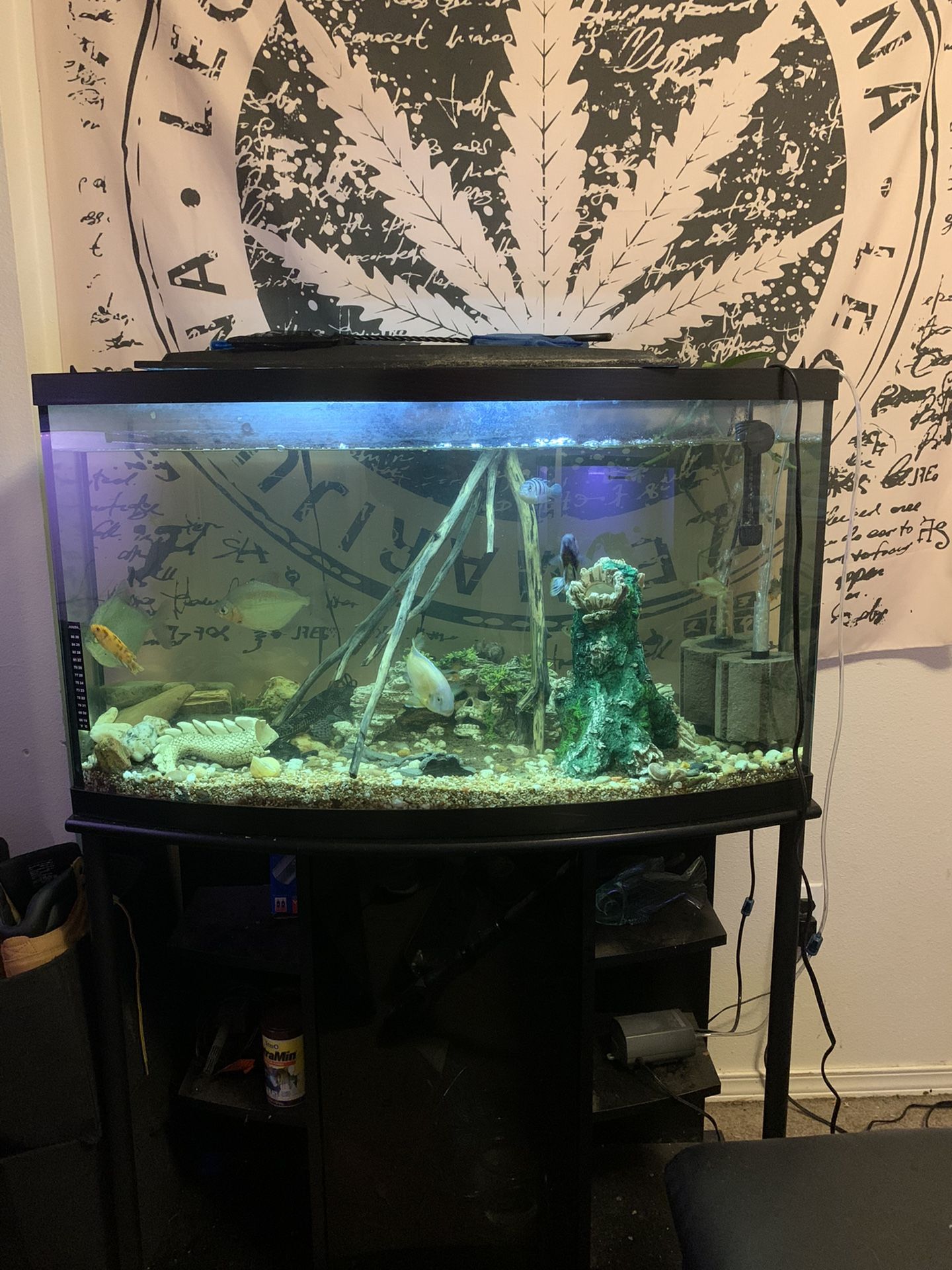 Got 2, 55 gallon Bow Front Fish Tanks With Stands! Then I Got A 55 Gallon Tank Without A Stand. They All Hold Water Perfectly Fine