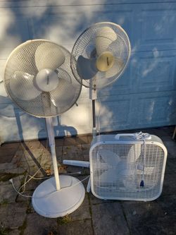 Fans