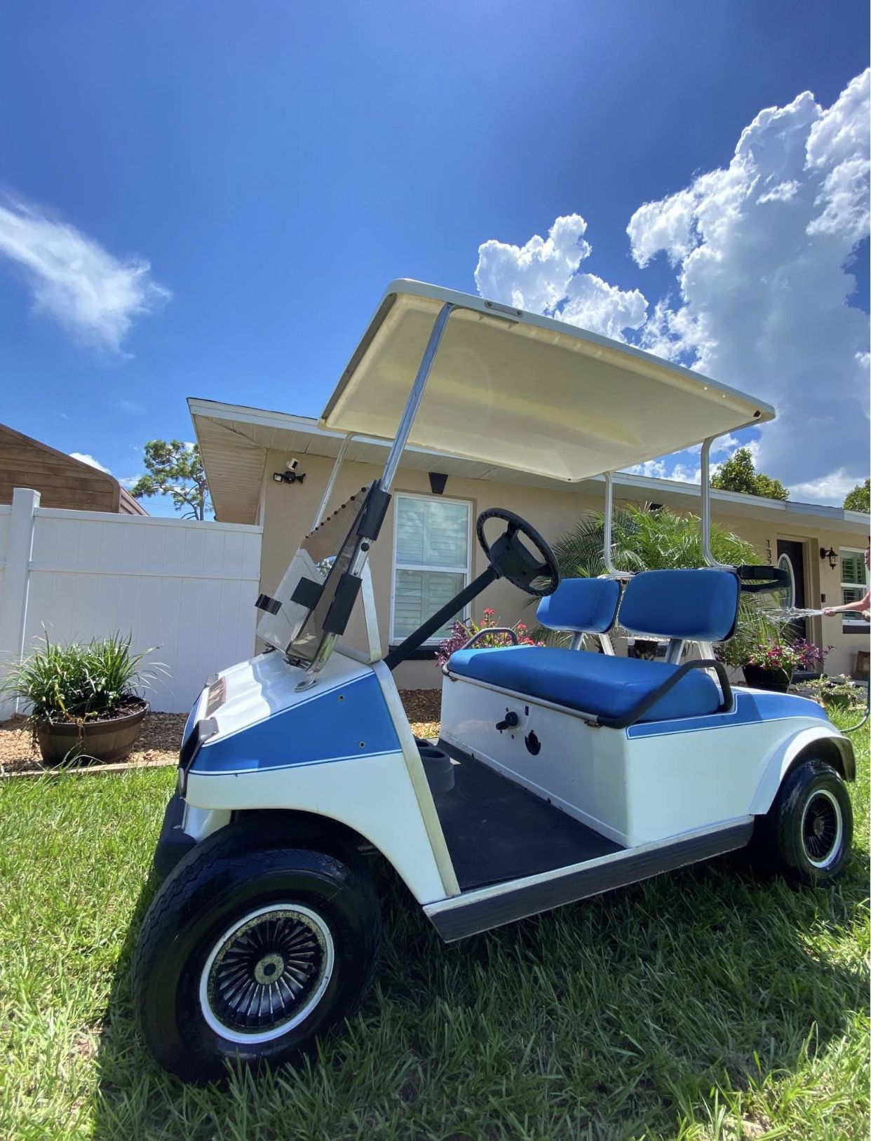 Club Car DS electric golf cart