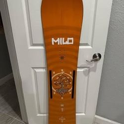 Rome Stale fish 151 Snowboard 