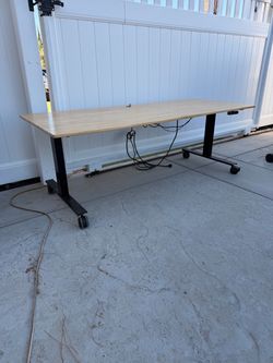 Electric Standing Desk with Wood Top - Great Quality