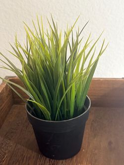 Artificial Grass Plant in Black Pot