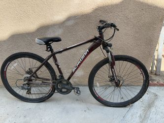Schwinn Bicycle Large