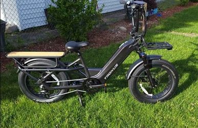 Troxus Lynx Cargo E-Bike