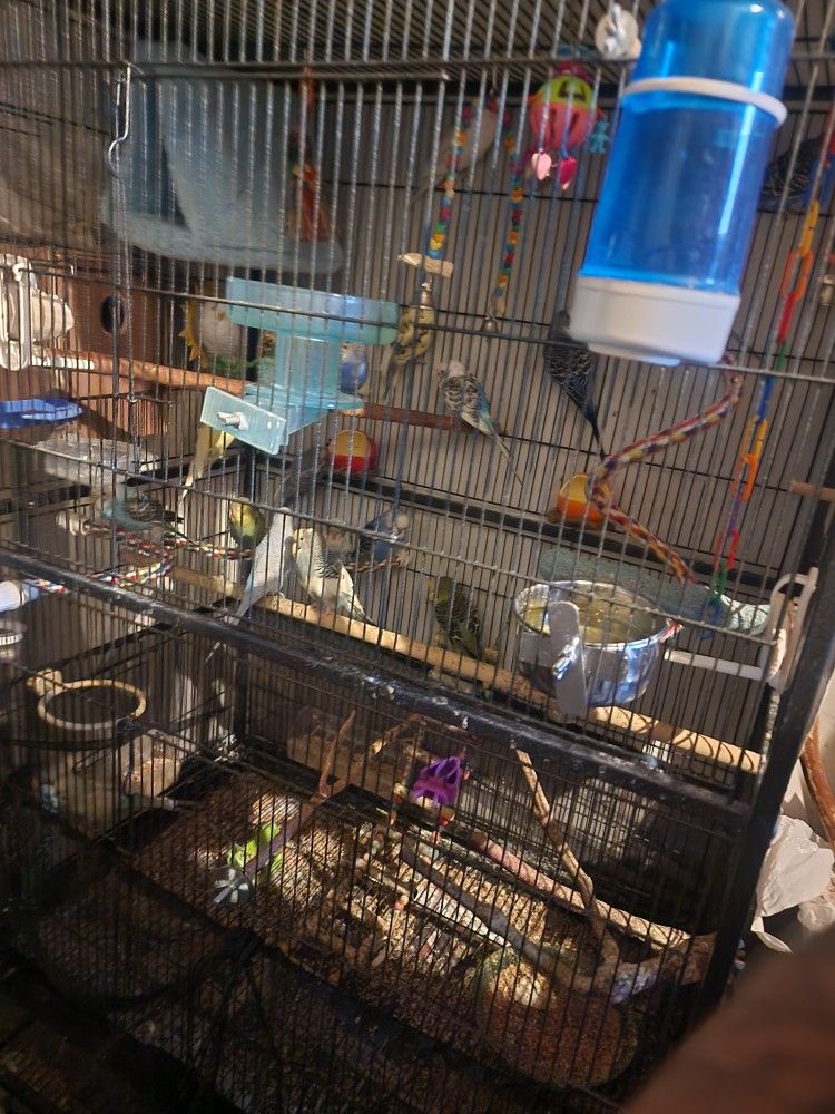 Vendo Jaula De Pájaros 🐦 En Buenas Condiciones