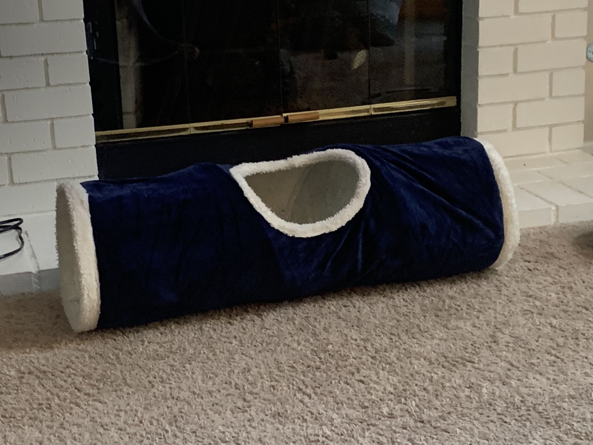 Cat Tunnel