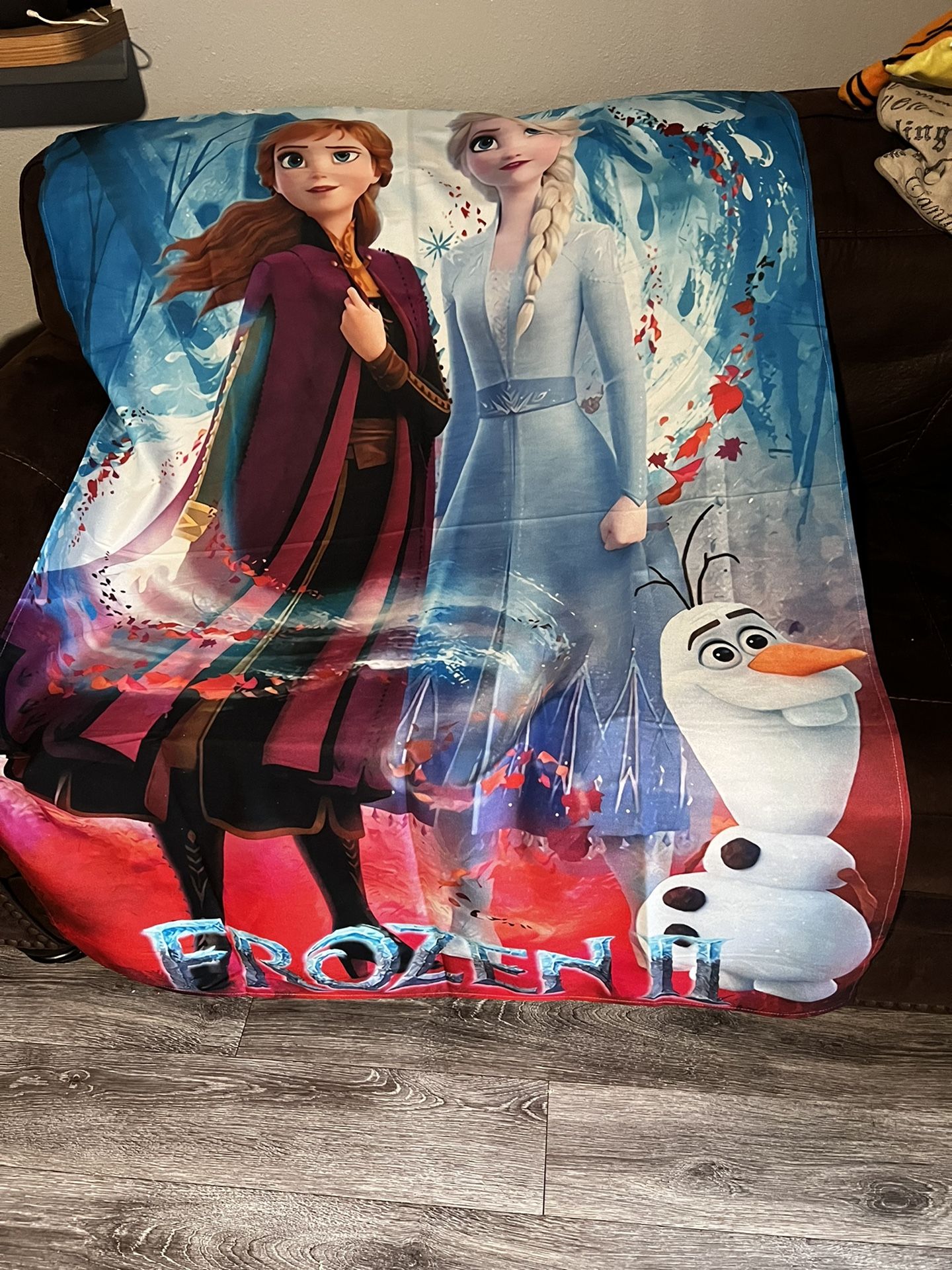 Frozen Blanket With 2 Pillowcase