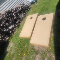 Bean bag toss