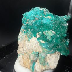 Dioptase Cluster on Matrix in Perky Box