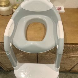 Potty Training Seat with Step Stool Ladder