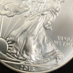 2013 Silver Walking Liberty 