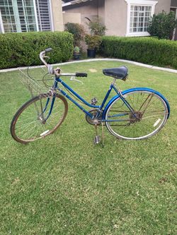 Vintage Schwinn Bike