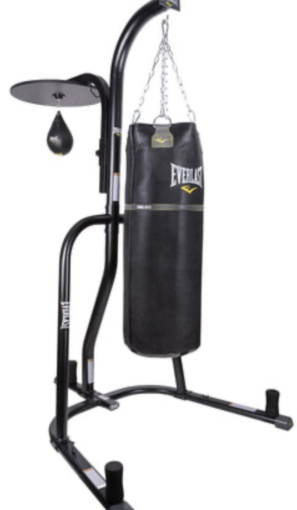 Everlast Dual Punching Bag