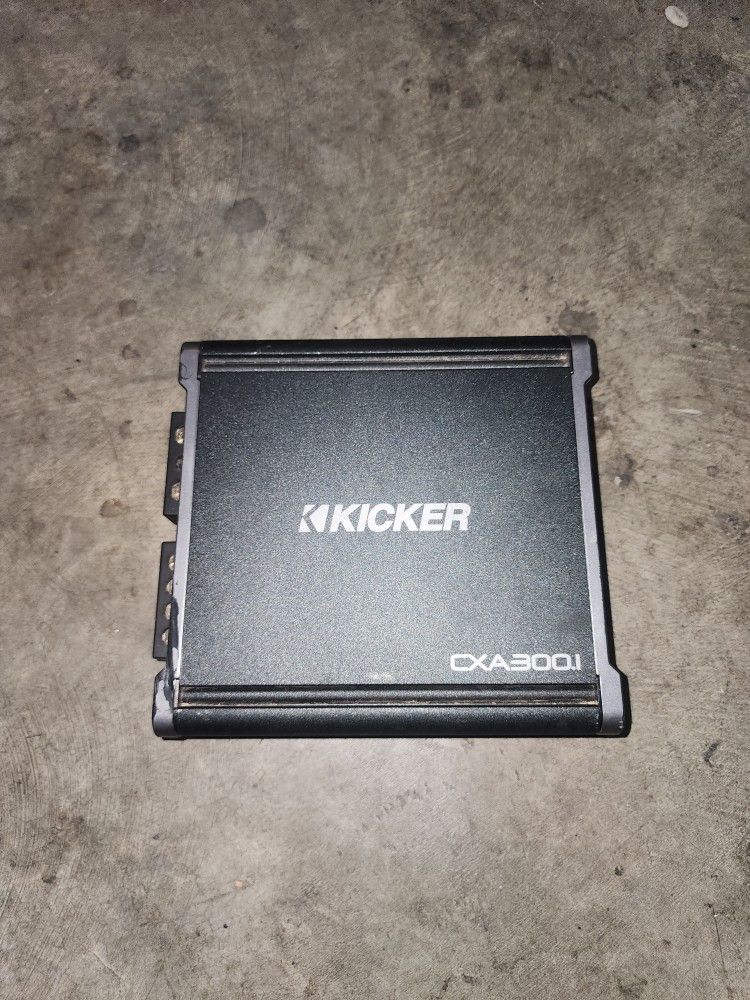 CX300.1 Mono Amplifier
