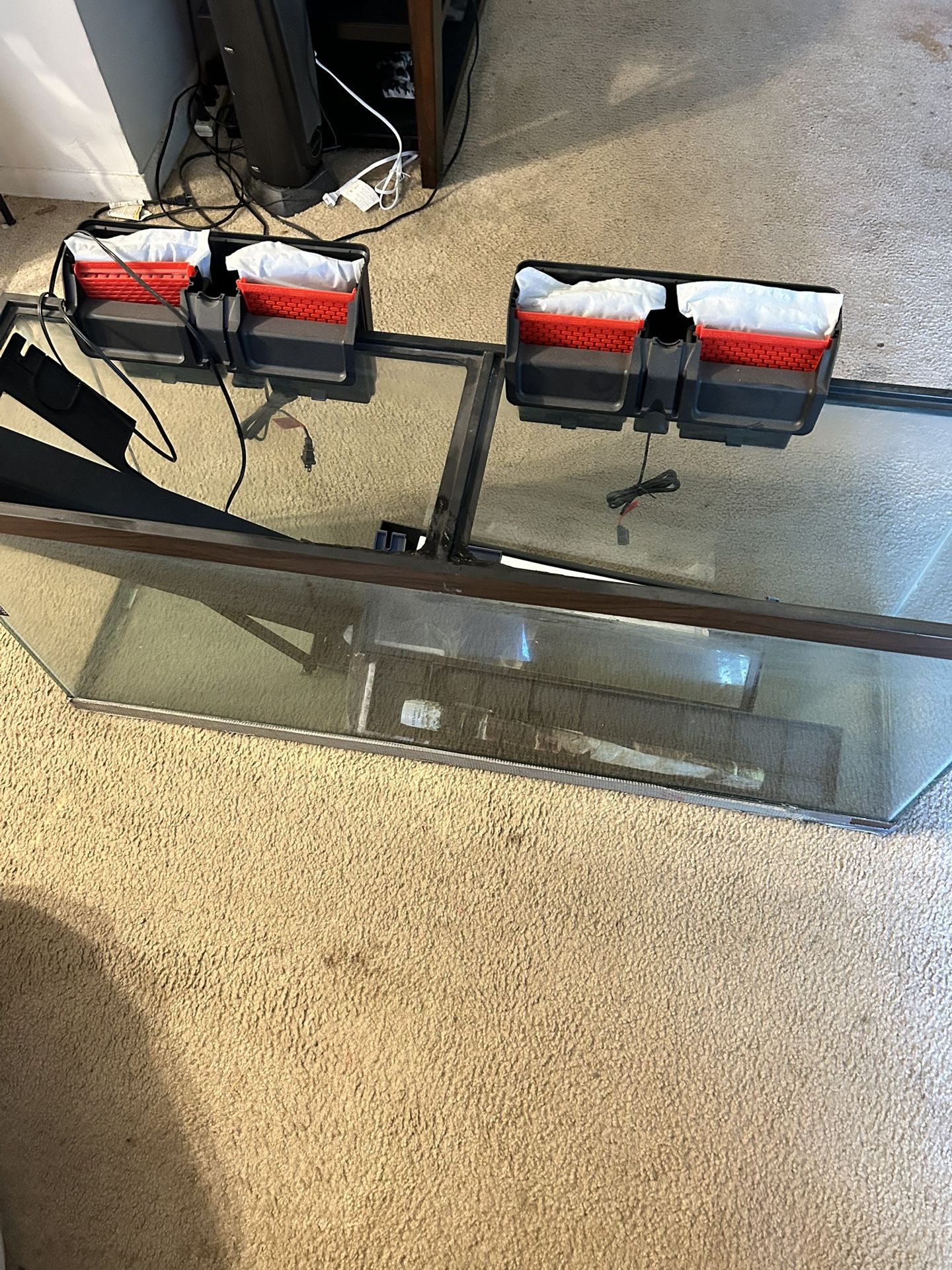 Fish Tank 