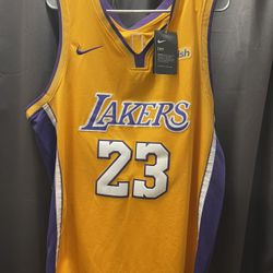 LeBron James Jersey 