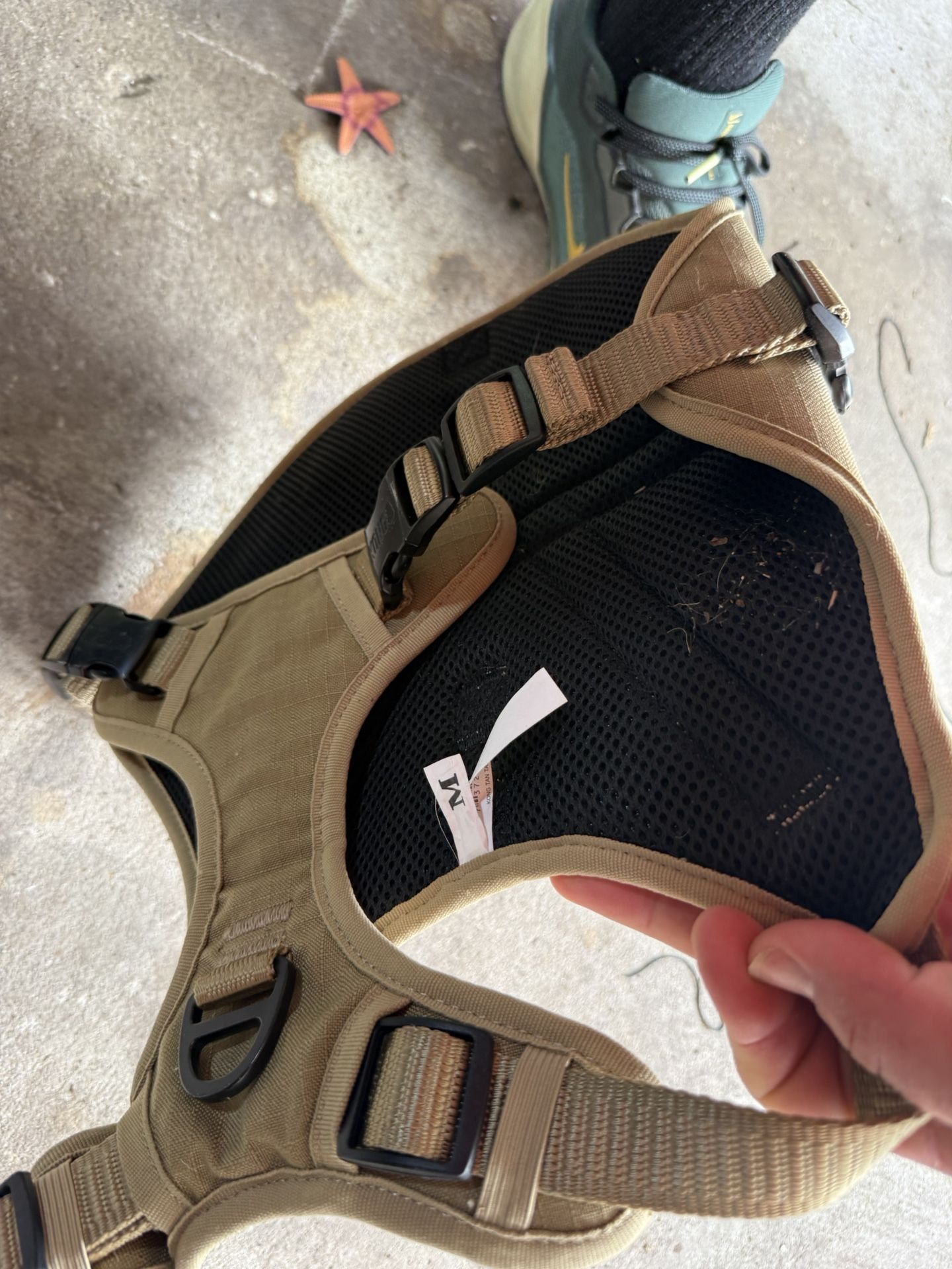 KONG Dog Harness 