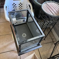 Collectible Football Or Misc Container