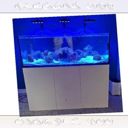 build way Large Aquarium Tank - Roomy & Beautiful