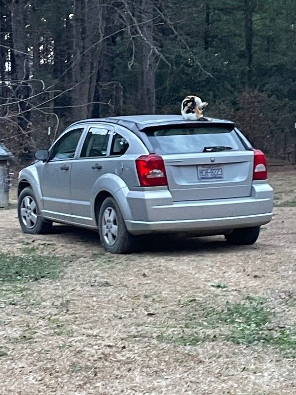 Dodge Caliber
