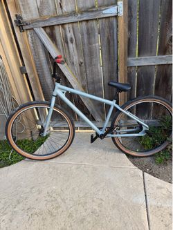 Thruster 29” Bike